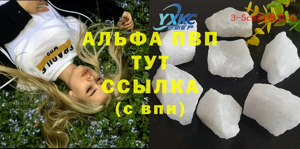 бошки Пионерский